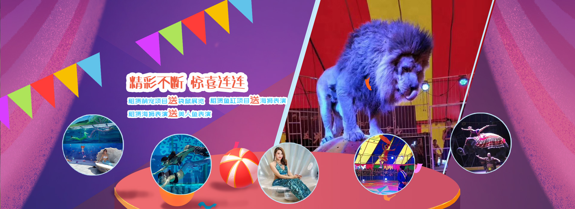 濟寧東瑞珍禽養(yǎng)殖有限公司