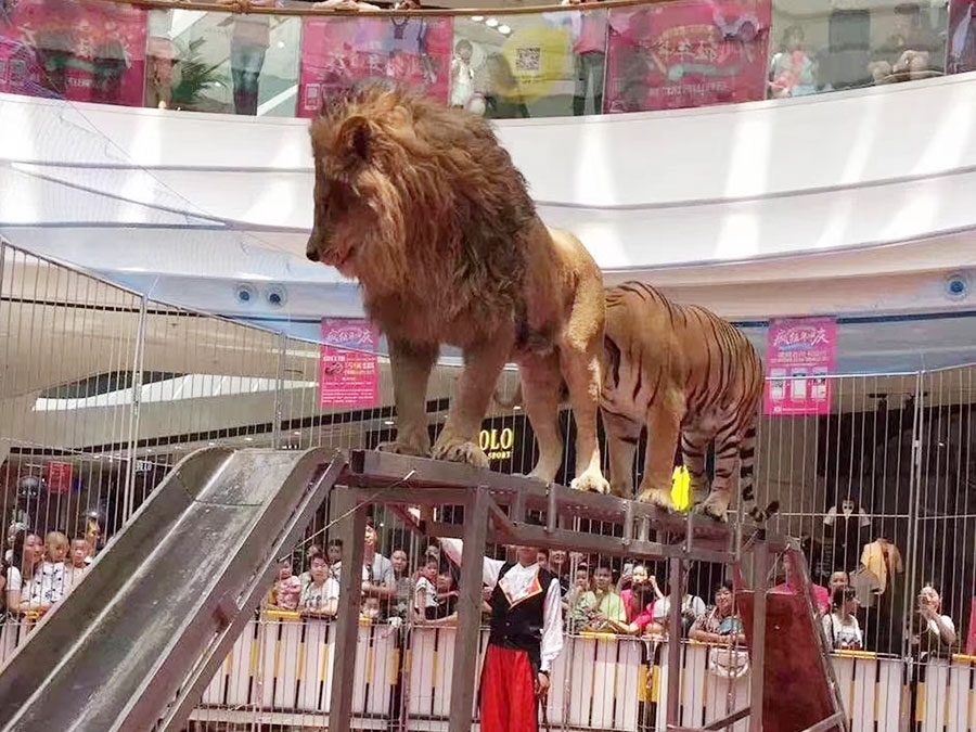 獅子表演