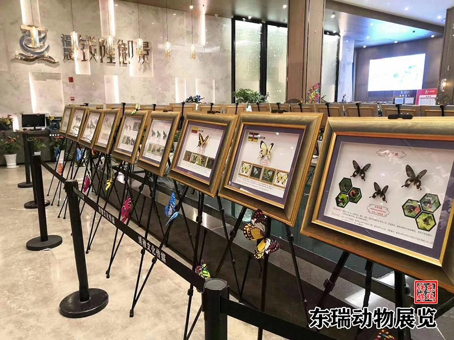標(biāo)本展示