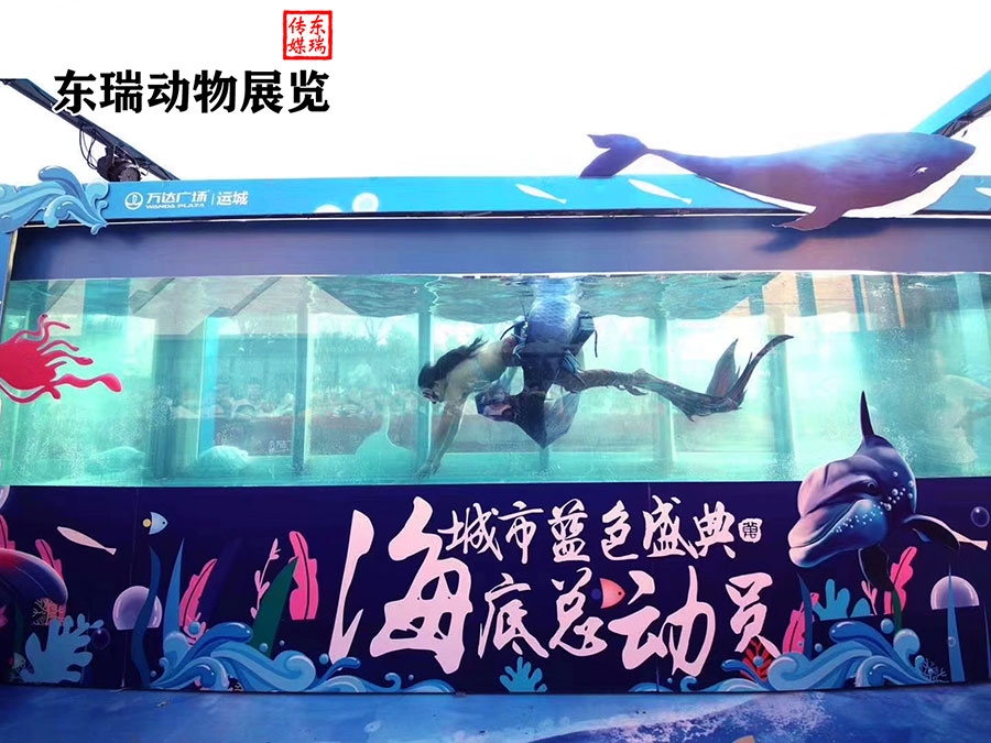 美人魚表演