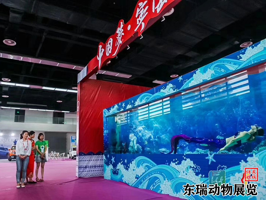 美人魚表演