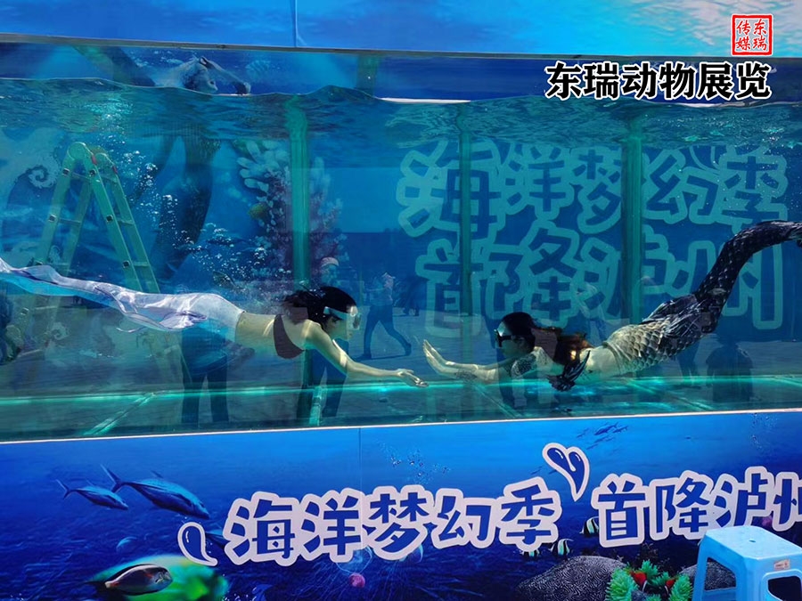 美人魚表演