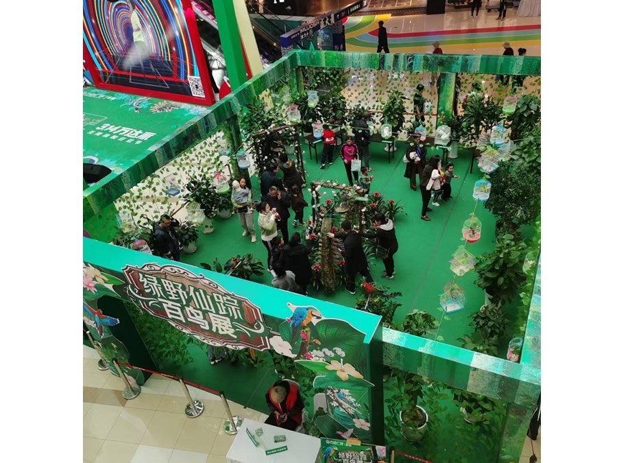 鸚鵡展示