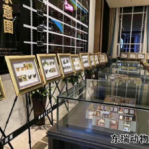 標(biāo)本展示