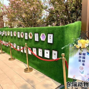 標(biāo)本展示