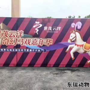 馬戲團(tuán)表演