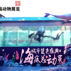 美人魚表演