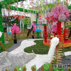 孔雀展示
