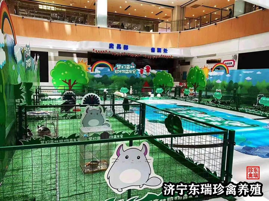 萌寵展示