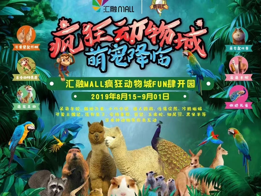 萌寵展示