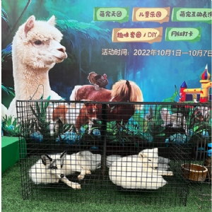 萌寵展示