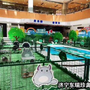 萌寵展示